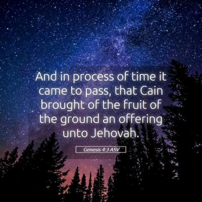 Picture 05 - Genesis 4:3 ASV - And in process of time it came to pass, that Cain - Bible Verse Picture