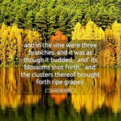 Picture 05 - Genesis 40:10 ASV - and in the vine were three branches: and it was - Bible Verse Picture
