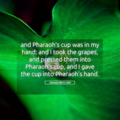 Picture 05 - Genesis 40:11 ASV - and Pharaoh's cup was in my hand; and I took the - Bible Verse Picture