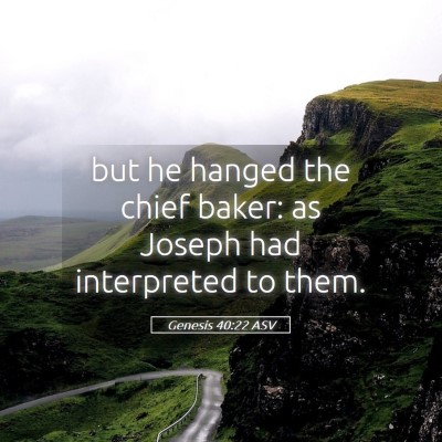 Picture 05 - Genesis 40:22 ASV - but he hanged the chief baker: as Joseph had - Bible Verse Picture