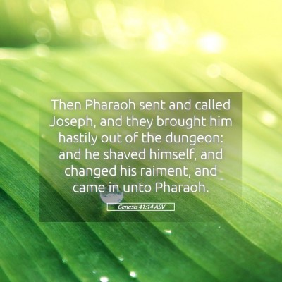 Picture 05 - Genesis 41:14 ASV - Then Pharaoh sent and called Joseph, and they - Bible Verse Picture