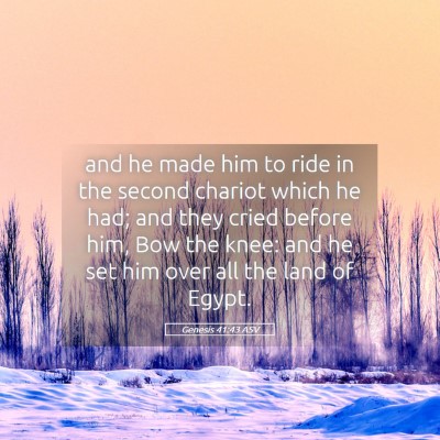 Picture 05 - Genesis 41:43 ASV - and he made him to ride in the second chariot - Bible Verse Picture