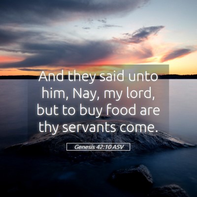 Picture 05 - Genesis 42:10 ASV - And they said unto him, Nay, my lord, but to buy - Bible Verse Picture