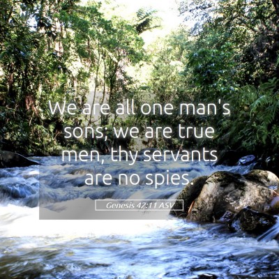 Picture 05 - Genesis 42:11 ASV - We are all one man's sons; we are true men, thy - Bible Verse Picture