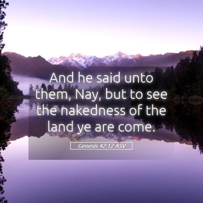 Picture 05 - Genesis 42:12 ASV - And he said unto them, Nay, but to see the - Bible Verse Picture