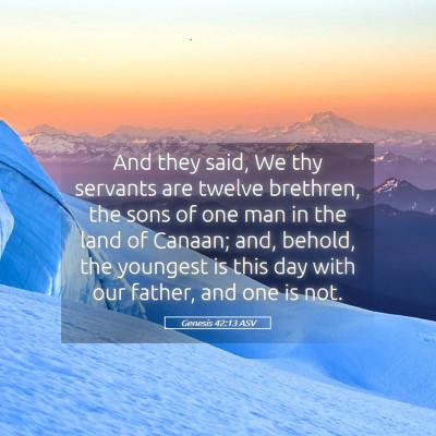 Picture 05 - Genesis 42:13 ASV - And they said, We thy servants are twelve - Bible Verse Picture