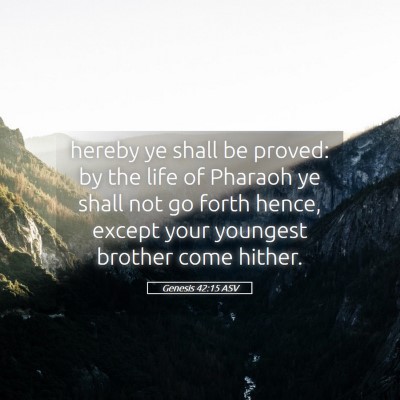 Picture 05 - Genesis 42:15 ASV - hereby ye shall be proved: by the life of Pharaoh - Bible Verse Picture