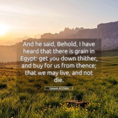 Picture 05 - Genesis 42:2 ASV - And he said, Behold, I have heard that there is - Bible Verse Picture