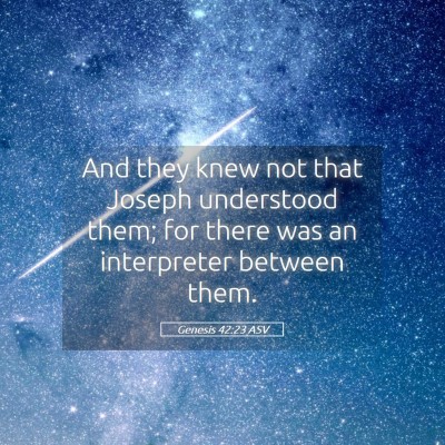Picture 05 - Genesis 42:23 ASV - And they knew not that Joseph understood them; - Bible Verse Picture
