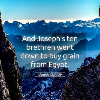Picture 05 - Genesis 42:3 ASV - And Joseph's ten brethren went down to buy grain - Bible Verse Picture