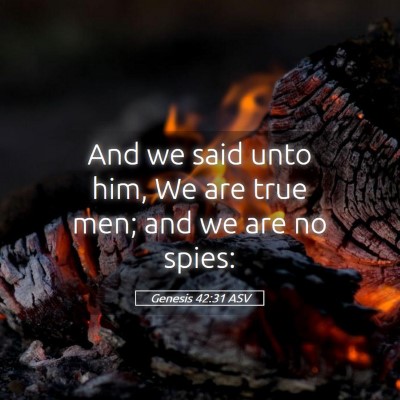 Picture 05 - Genesis 42:31 ASV - And we said unto him, We are true men; and we are - Bible Verse Picture