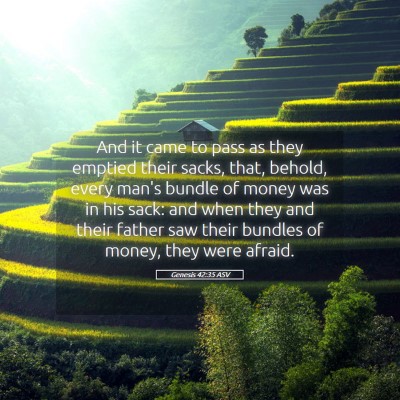 Picture 05 - Genesis 42:35 ASV - And it came to pass as they emptied their sacks, - Bible Verse Picture