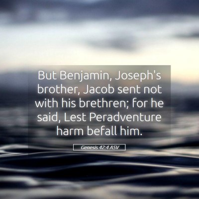 Picture 05 - Genesis 42:4 ASV - But Benjamin, Joseph's brother, Jacob sent not - Bible Verse Picture