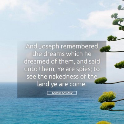 Picture 05 - Genesis 42:9 ASV - And Joseph remembered the dreams which he dreamed - Bible Verse Picture