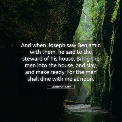 Picture 05 - Genesis 43:16 ASV - And when Joseph saw Benjamin with them, he said - Bible Verse Picture