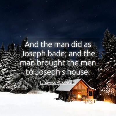 Picture 05 - Genesis 43:17 ASV - And the man did as Joseph bade; and the man - Bible Verse Picture