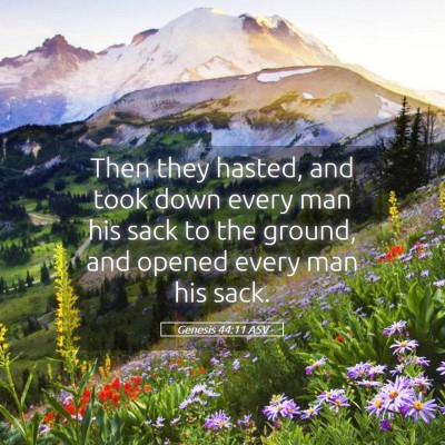 Picture 05 - Genesis 44:11 ASV - Then they hasted, and took down every man his - Bible Verse Picture