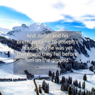 Picture 05 - Genesis 44:14 ASV - And Judah and his brethren came to Joseph's - Bible Verse Picture