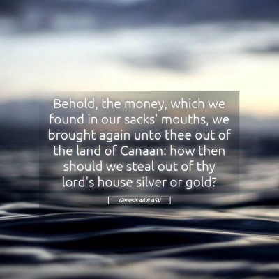 Picture 05 - Genesis 44:8 ASV - Behold, the money, which we found in our sacks' - Bible Verse Picture