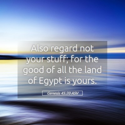 Picture 05 - Genesis 45:20 ASV - Also regard not your stuff; for the good of all - Bible Verse Picture
