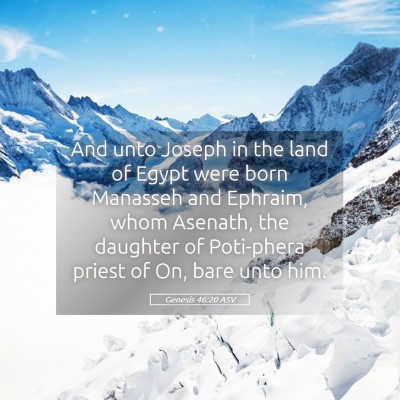 Picture 05 - Genesis 46:20 ASV - And unto Joseph in the land of Egypt were born - Bible Verse Picture