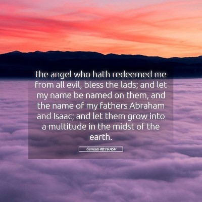 Picture 05 - Genesis 48:16 ASV - the angel who hath redeemed me from all evil, - Bible Verse Picture