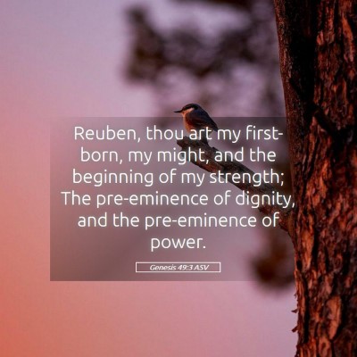 Picture 05 - Genesis 49:3 ASV - Reuben, thou art my first-born, my might, and the - Bible Verse Picture