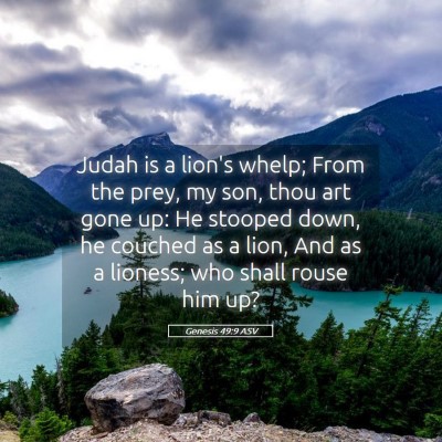 Picture 05 - Genesis 49:9 ASV - Judah is a lion's whelp; From the prey, my son, - Bible Verse Picture