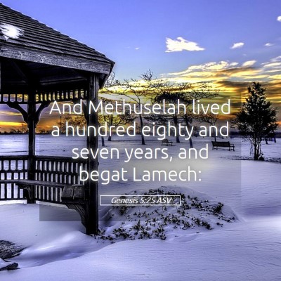 Picture 05 - Genesis 5:25 ASV - And Methuselah lived a hundred eighty and seven - Bible Verse Picture