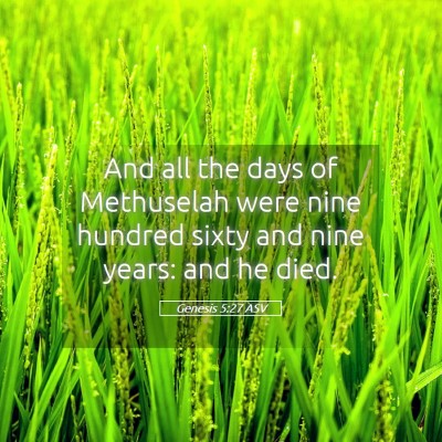 Picture 05 - Genesis 5:27 ASV - And all the days of Methuselah were nine hundred - Bible Verse Picture