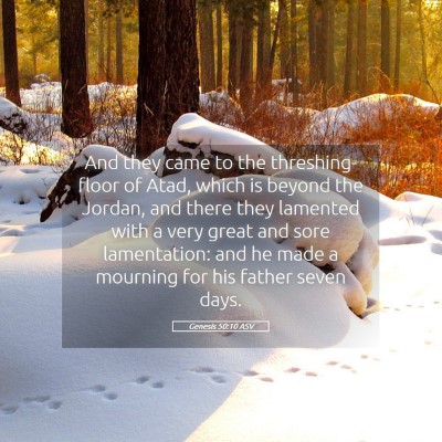 Picture 05 - Genesis 50:10 ASV - And they came to the threshing-floor of Atad, - Bible Verse Picture