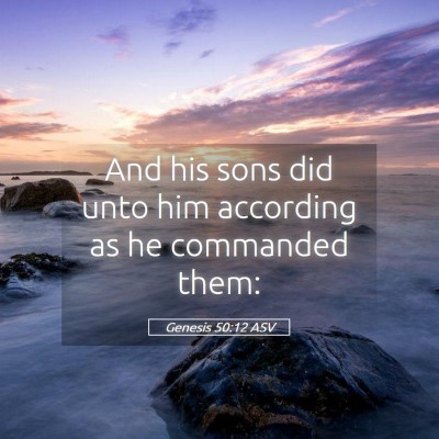 Picture 05 - Genesis 50:12 ASV - And his sons did unto him according as he - Bible Verse Picture