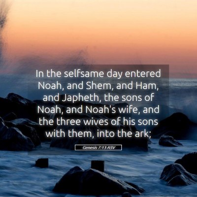 Picture 05 - Genesis 7:13 ASV - In the selfsame day entered Noah, and Shem, and - Bible Verse Picture