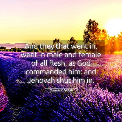 Picture 05 - Genesis 7:16 ASV - And they that went in, went in male and female of - Bible Verse Picture