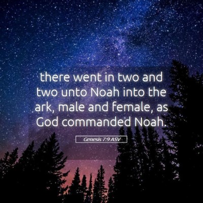 Picture 05 - Genesis 7:9 ASV - there went in two and two unto Noah into the ark, - Bible Verse Picture