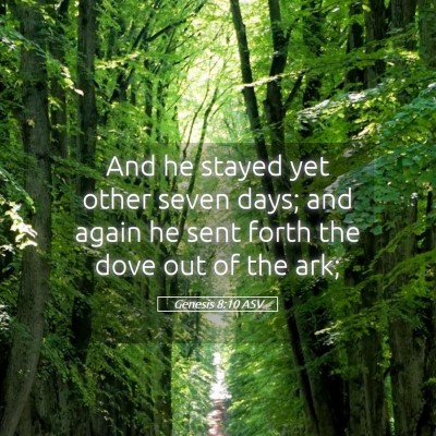 Picture 05 - Genesis 8:10 ASV - And he stayed yet other seven days; and again he - Bible Verse Picture