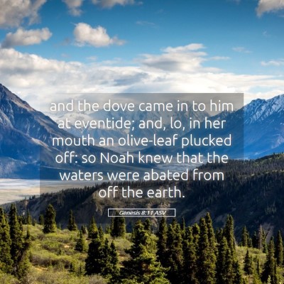 Picture 05 - Genesis 8:11 ASV - and the dove came in to him at eventide; and, lo, - Bible Verse Picture