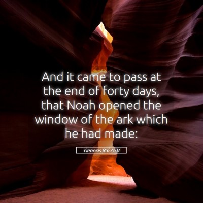 Picture 05 - Genesis 8:6 ASV - And it came to pass at the end of forty days, - Bible Verse Picture