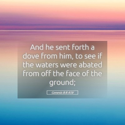 Picture 05 - Genesis 8:8 ASV - And he sent forth a dove from him, to see if the - Bible Verse Picture
