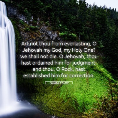 Picture 05 - Habakkuk 1:12 ASV - Art not thou from everlasting, O Jehovah my God, - Bible Verse Picture
