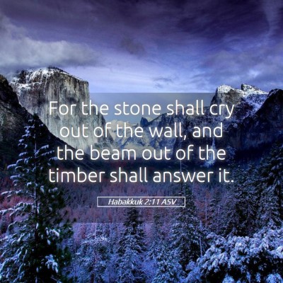Picture 05 - Habakkuk 2:11 ASV - For the stone shall cry out of the wall, and the - Bible Verse Picture