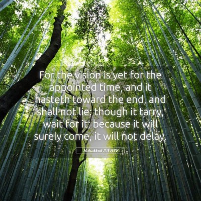 Picture 05 - Habakkuk 2:3 ASV - For the vision is yet for the appointed time, and - Bible Verse Picture