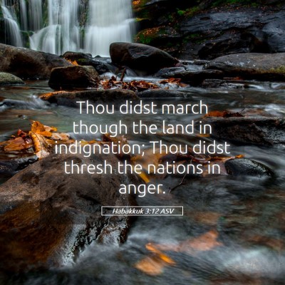 Picture 05 - Habakkuk 3:12 ASV - Thou didst march though the land in indignation; - Bible Verse Picture