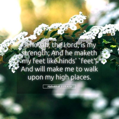 Picture 05 - Habakkuk 3:19 ASV - Jehovah, the Lord, is my strength; And he maketh - Bible Verse Picture