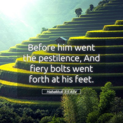 Picture 05 - Habakkuk 3:5 ASV - Before him went the pestilence, And fiery bolts - Bible Verse Picture