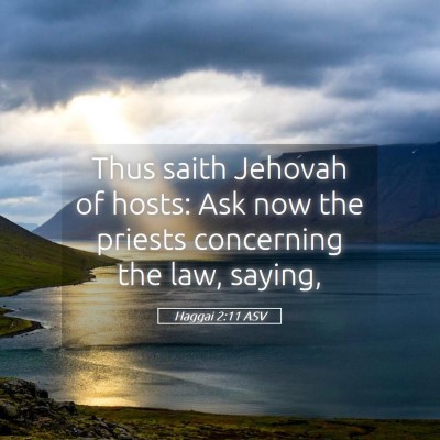 Picture 05 - Haggai 2:11 ASV - Thus saith Jehovah of hosts: Ask now the priests - Bible Verse Picture