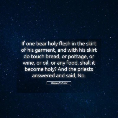 Picture 05 - Haggai 2:12 ASV - If one bear holy flesh in the skirt of his - Bible Verse Picture