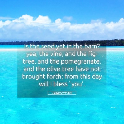 Picture 05 - Haggai 2:19 ASV - Is the seed yet in the barn? yea, the vine, and - Bible Verse Picture