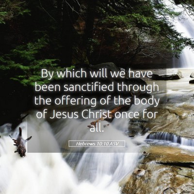 Picture 05 - Hebrews 10:10 ASV - By which will we have been sanctified through the - Bible Verse Picture