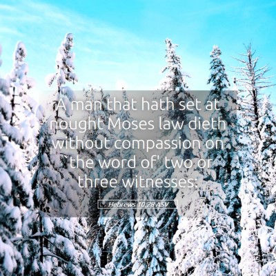 Picture 05 - Hebrews 10:28 ASV - A man that hath set at nought Moses law dieth - Bible Verse Picture